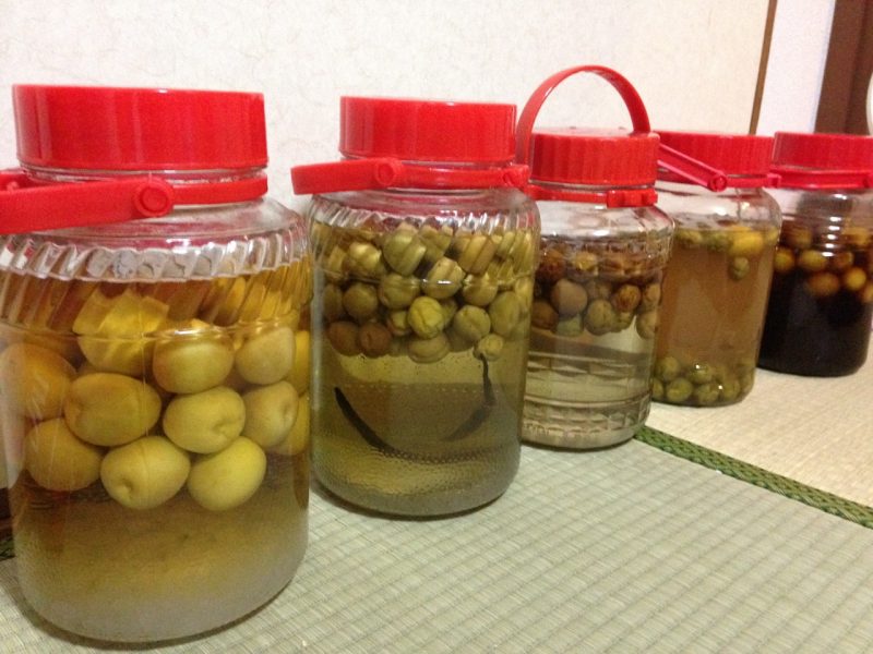 Making Plum Wine